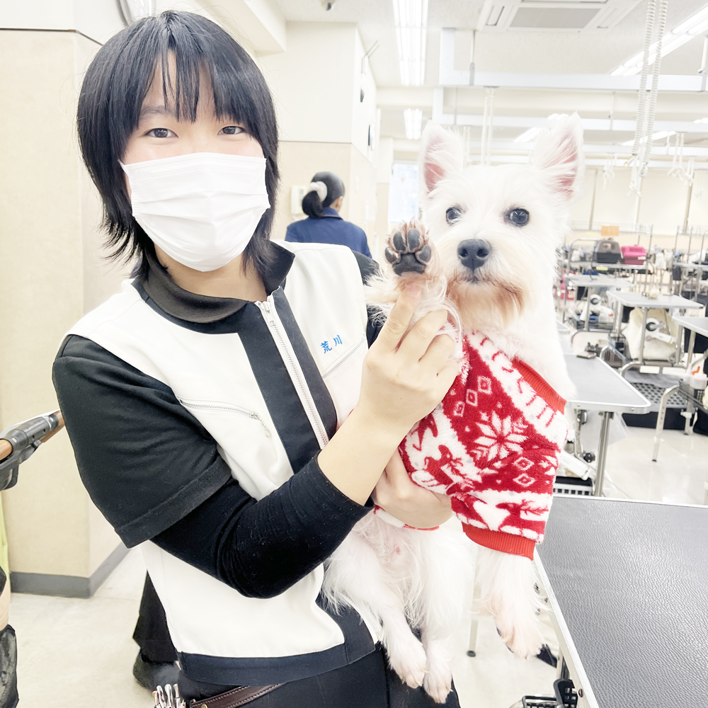 卒業犬たちが来てくれました♪